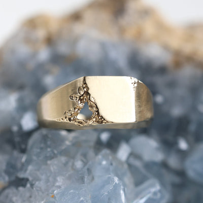 Men's gold or platinum Raw Signet Ring with a hole in the middle.