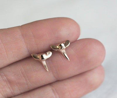 Shark tooth gold stud earrings