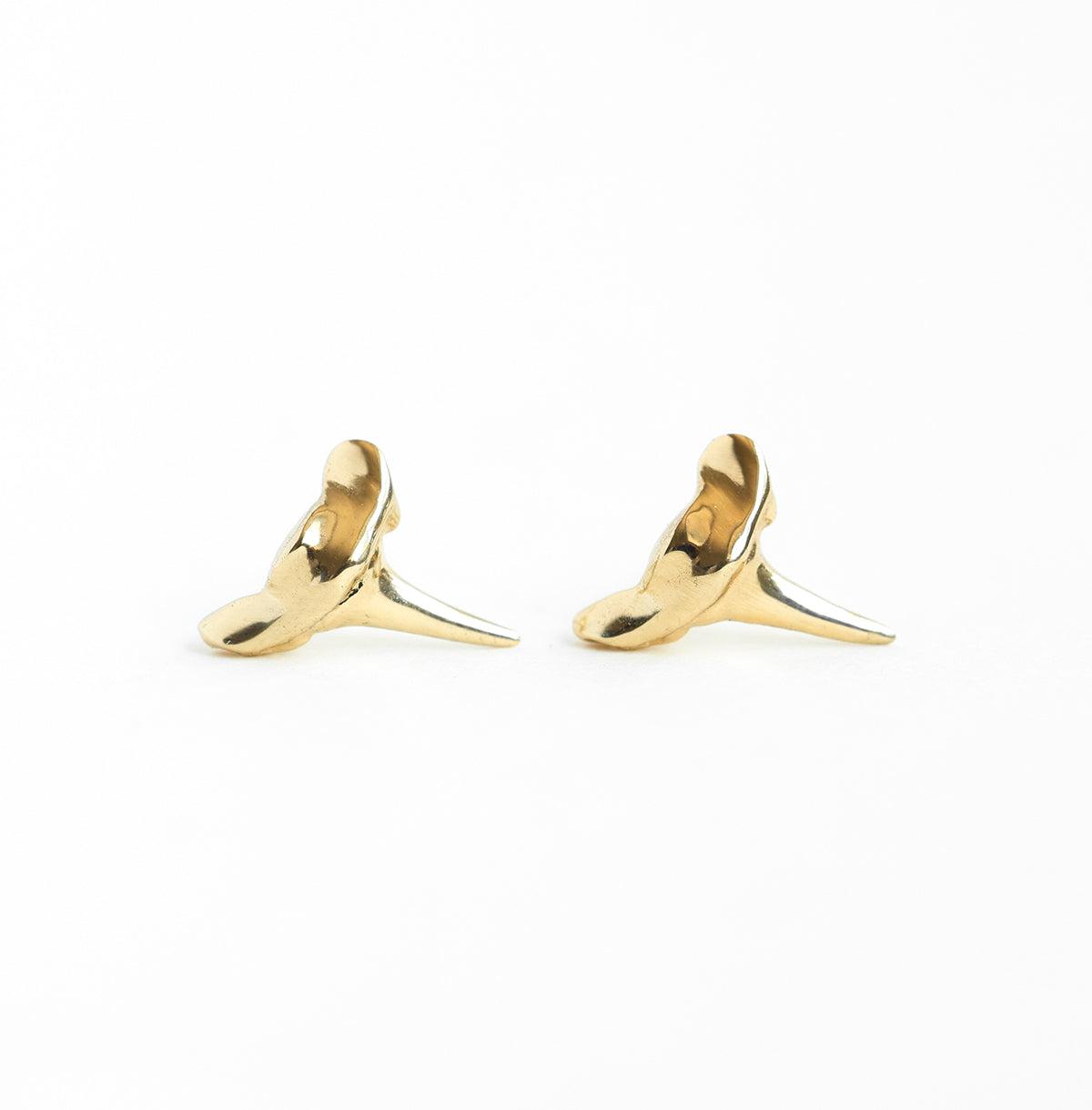 Shark tooth gold stud earrings