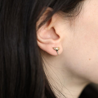 Shark tooth gold stud earrings