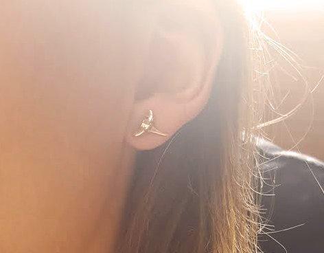 Shark tooth gold stud earrings