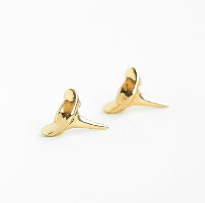 Shark tooth gold stud earrings