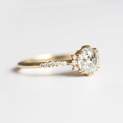 One Carat Round Salt & Pepper Diamond Cluster Ring with Prong Setting and side White Diamonds on the band