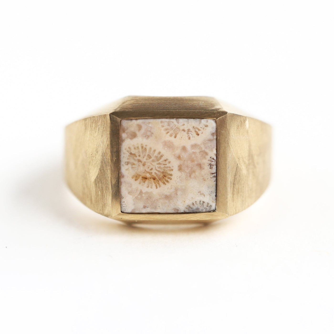Elegant signet ring with fossilized coral featuring a modern look.
