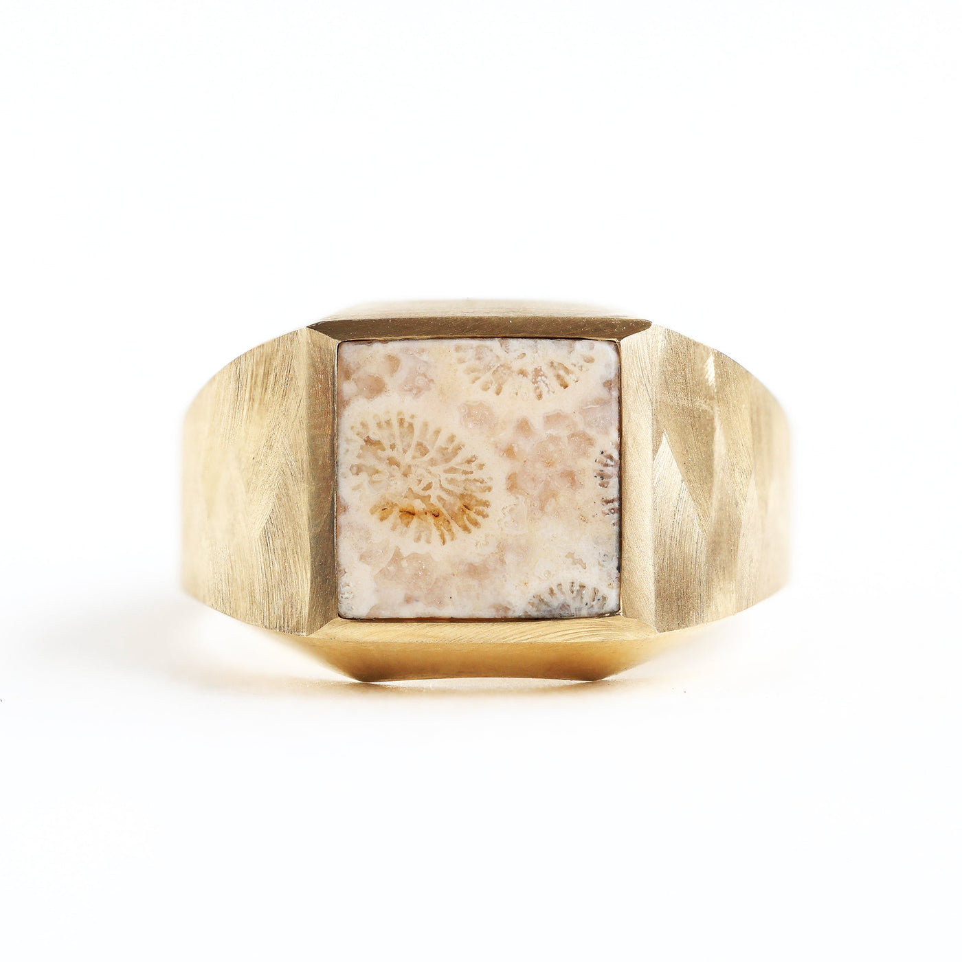 Unique signet ring with fossilized coral and a stylish design.