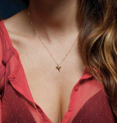 Gold shark tooth necklace